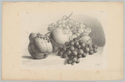 Kabak, çilek, üzüm ve şeftali Çiçek ve Meyve Çalışmaları (...) 3. bölüm (dizi adı) by Anton Weiss