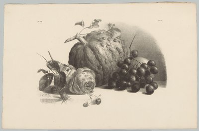 Kabak, üzüm, gül ve çilek Çiçek ve Meyve Çalışmaları (...) 3. bölüm (dizi adı) by Anton Weiss