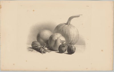 Kabak, şeftali, kayısı, erik ve fındık Çiçek ve Meyve Çalışmaları (...) 3. bölüm (dizi adı) by Anton Weiss
