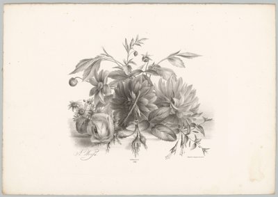 Güller, dahlias ve fuşya Çiçek ve Meyve Çalışmaları (...) 10. bölüm (dizi adı) by Anton Weiss