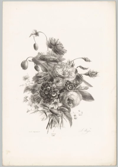 Güller ve diğer çiçekler Çiçek ve Meyve Çalışmaları (...) 10. bölüm (dizi adı) by Anton Weiss