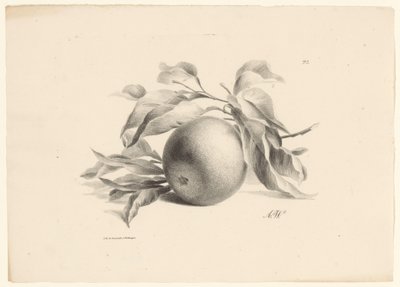 Orange Fruit (dizi adı) by Anton Weiss
