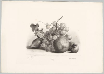 İncir, üzüm ve portakal Çiçek ve Meyve Çalışmaları (...) 10. bölüm (dizi adı) by Anton Weiss