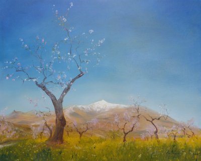 Badem Çiçeği, Karla Kaplı Sierra Nevada Dağı, 2016 by Antonia Myatt