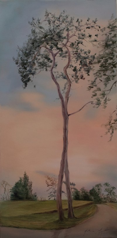 Tapeley Park ağaçları, 2013 (tuval üzerine yağlı boya) by Antonia Myatt