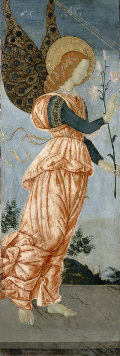 Müjde Meleği, c.1500 (kavak ağacı üzerinde tempera) by Antoniazzo Romano