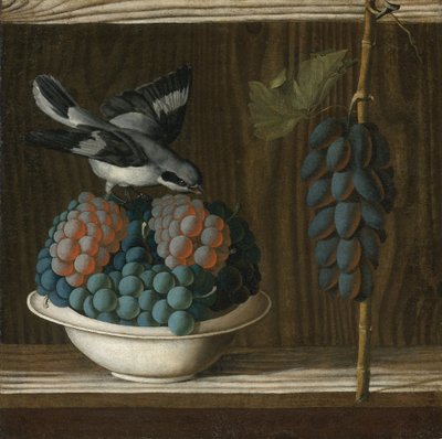 Natürmort with Grapes and a Grey Shrike (Resim Alegorisi) Leonelli (da Crevalcore), Antonio (c. 1450-1525 öncesi). Tuval üzerine yağlı boya, ebat: 40x39.7, c. 1500, Özel by Antonio (fl.1478 1513) Leonelli