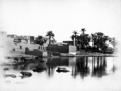 Nil Teknesinden Görülen Luksor, 1860-80 dolayları by Antonio Beato