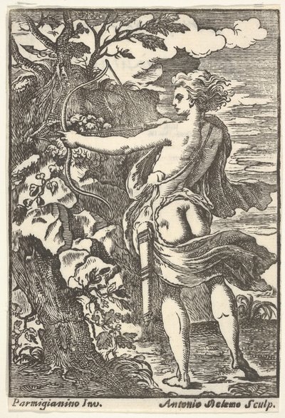 Callisto, Parmigianino
