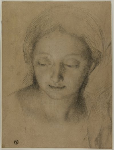  by Antonio Cavallucci