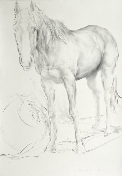 Coolmore'da At, 1990 (kağıt üzerinde kömür) by Antonio Ciccone