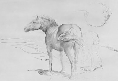 Coolmore