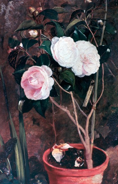 Kamelyalar, 19. yüzyıl by Antonio Maria Fabres y Costa
