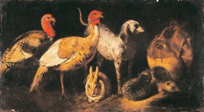 Hindi tavukları, köpekleri, tavşanları ve kirpileri by Antonio Maria Vassallo