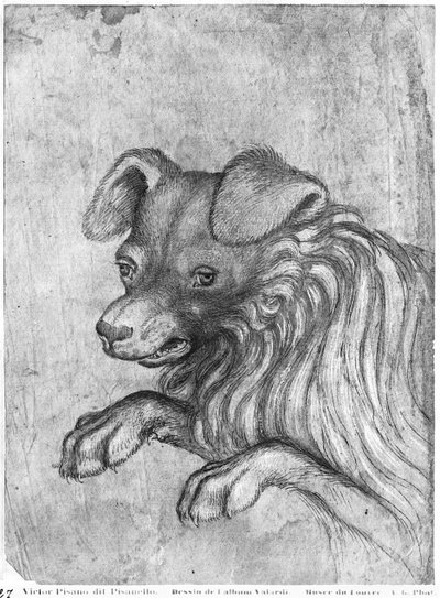 Vallardi Albümünden bir köpeğin başı by Antonio Pisanello