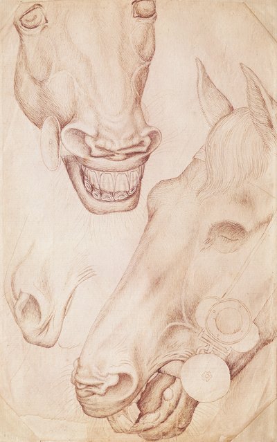 Vallardi Albümünden Atların Başları by Antonio Pisanello