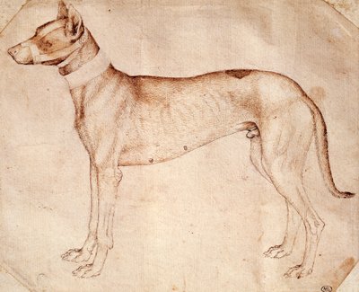 Pisanello olarak bilinen Antonio Pisano