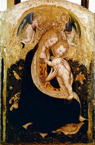 Madonna