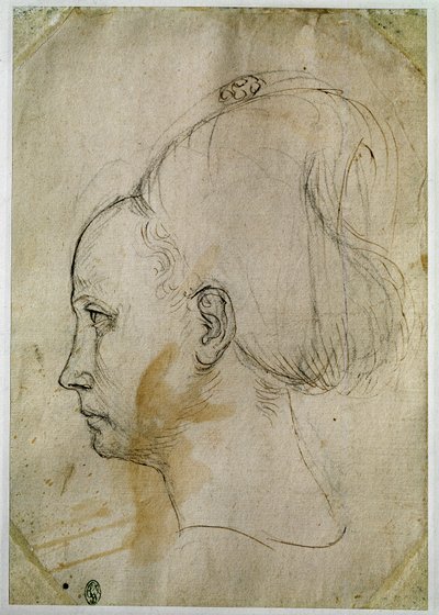 Genç kadının başı, soldaki profil by Antonio Pisanello