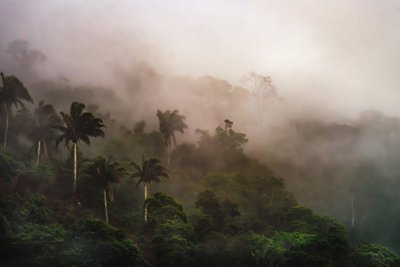  by Antonio Schubert