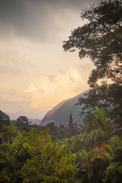 Serra dos Órgãos VIII, Petrópolis, Rio de Janeiro, Brezilya, 2025 (fotoğraf) by Antonio Schubert