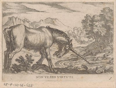 Tek boynuzlu at kertenkeleleri göletten kovalıyor Vizyonsuz erdem (nesne üzerindeki başlık) Dövüşen hayvanlar (dizi başlığı) by Antonio Tempesta