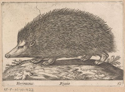 egel Herinaceus/ Riccio (nesne üzerindeki başlık) Dieren en fabelwezens (dizi adı) Nova raccolta de li animali piu curiosi del mondo (dizi başlığı) by Antonio Tempesta
