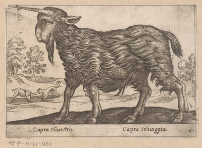 Tek boynuzlu keçi Capra Silvestris/ Capra Selvaggia (nesne üzerindeki başlık) Dieren en fablewezens (dizi adı) Dünyanın en meraklı hayvanlarının yeni koleksiyonu (seri başlığı) by Antonio Tempesta