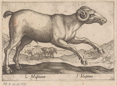 Geitachtige L Mussimonae / I Musimone (nesne üzerindeki başlık) Dieren en fabelwezens (dizi adı) Dünyanın en meraklı hayvanlarının yeni koleksiyonu (seri başlığı) by Antonio Tempesta