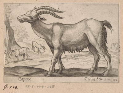 Mücevherler Caprax / Cerua Belzuaria (nesne üzerindeki başlık) Dieren en fabelwezens (dizi adı) Dünyanın en meraklı hayvanlarının yeni koleksiyonu (seri başlığı) by Antonio Tempesta