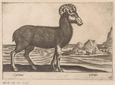 Mücevherler Cerinis / Ceruio (nesne üzerindeki başlık) Dieren en fabelwezens (dizi adı) Dünyanın en meraklı hayvanlarının Nova koleksiyonu (dizi başlığı) by Antonio Tempesta