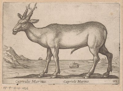 Hert Capreulus Marinus/ Capriolo Marino (nesne üzerindeki başlık) Dieren en fablewezens (dizi adı) Dünyanın en meraklı hayvanlarının yeni koleksiyonu (seri başlığı) by Antonio Tempesta