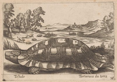 Landschildpad Testudo / Yer kaplumbağası (nesne üzerindeki başlık) Dieren en fabelwezens (dizi adı) Dünyanın en meraklı hayvanlarının Nova koleksiyonu (dizi başlığı) by Antonio Tempesta