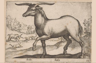 boynuzlu at Eale/ Eale (nesne üzerindeki başlık) Hayvanlar ve efsanevi yaratıklar (dizi adı) Nova raccolta de li animali piu curiosi del mondo (dizi başlığı) by Antonio Tempesta