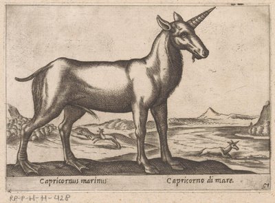 Bir deniz canlısı olarak Oğlak, Capricornus marinus/ Capricorno di mare (nesne üzerindeki başlık) Hayvanlar ve efsanevi yaratıklar (dizi başlığı) Nova raccolta de li animali piu curiosi del mondo (dizi başlığı) by Antonio Tempesta