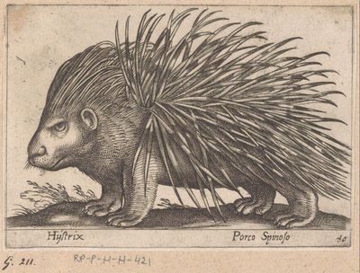 Kirpi Hystrix/ Porco Spinoso (nesne üzerindeki başlık) Hayvanlar ve efsanevi yaratıklar (dizi adı) Nova raccolta de li animali piu curiosi del mondo (dizi başlığı) by Antonio Tempesta