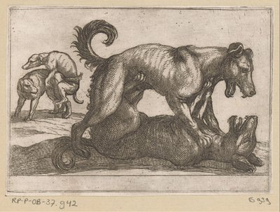 İki çiftleşme ve iki dövüş köpeği Dövüşen hayvanlar (dizi başlığı) by Antonio Tempesta
