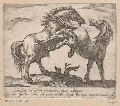 twee parende paarden Paarden uit verschillende landen (seri başlığı) Bu liderlik altında prens, kahramanın ağzıyla kutlanacak, o adam bu yıldızları yenecek. by Antonio Tempesta