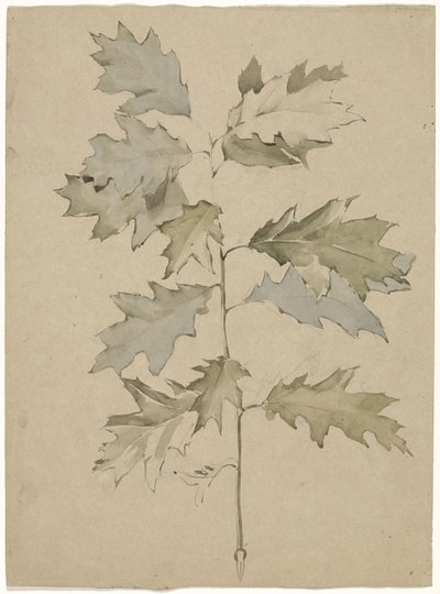 Yeşillik ile meşe dalı by Antoon Derkinderen