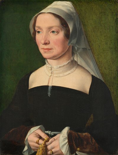De Hondecoeter Ailesi Üyesinin Karısı, 1543. by Antwerp 16th Century