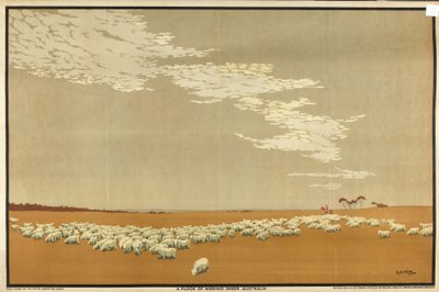 Bir Merinos Koyunu Sürüsü - Avustralya, 'Avustralya'nın Buğday ve Yün Zenginliği' serisinden (renkli litho) by Archibald Bertram Webb
