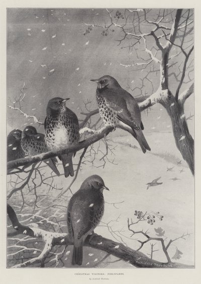 Noel Ziyaretçileri, Fieldfares by Archibald Thorburn
