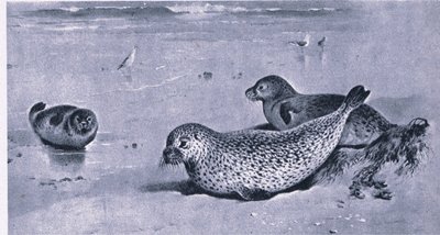 Ortak Mühür, İngiltere