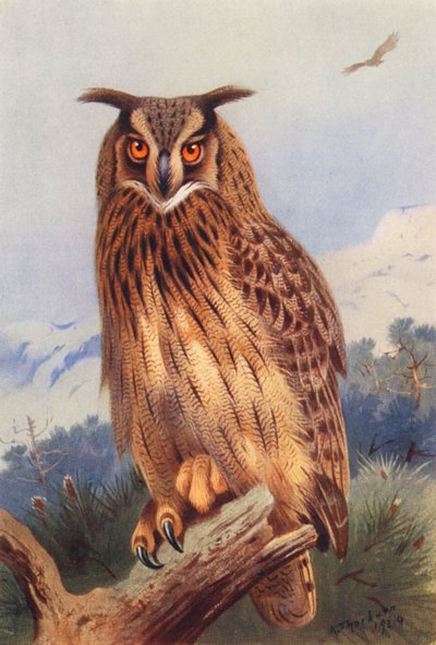 Kartal-Baykuş (renkli taş baskı) by Archibald Thorburn