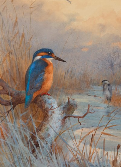 Donmuş balıkçılar: Yalıçapkını ve Balıkçıl kış manzarasında by Archibald Thorburn