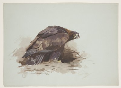 Altın kartal, c.1915 (kağıt üzerine kurşun kalem üzerine suluboya ve gövde rengi) by Archibald Thorburn