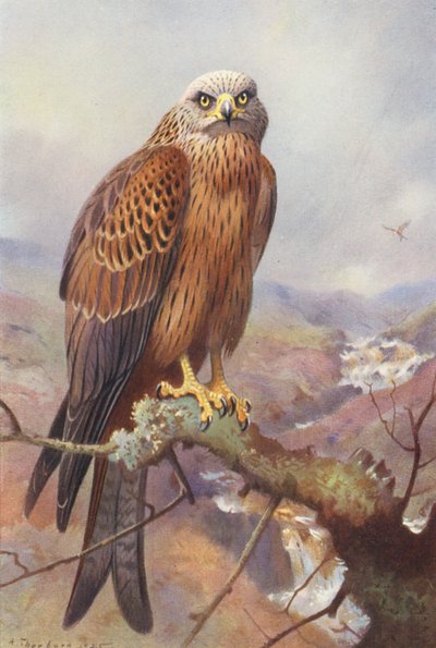 Uçurtma (renkli lito) by Archibald Thorburn
