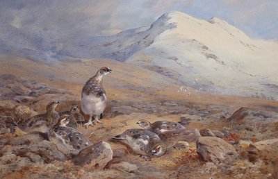 Ptarmigan Yerinde (suluboya) by Archibald Thorburn