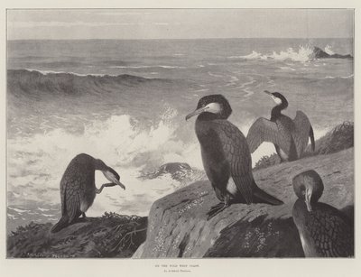 Vahşi Batı Kıyısında by Archibald Thorburn