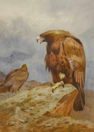 Altın Kartal Çifti by Archibald Thorburn